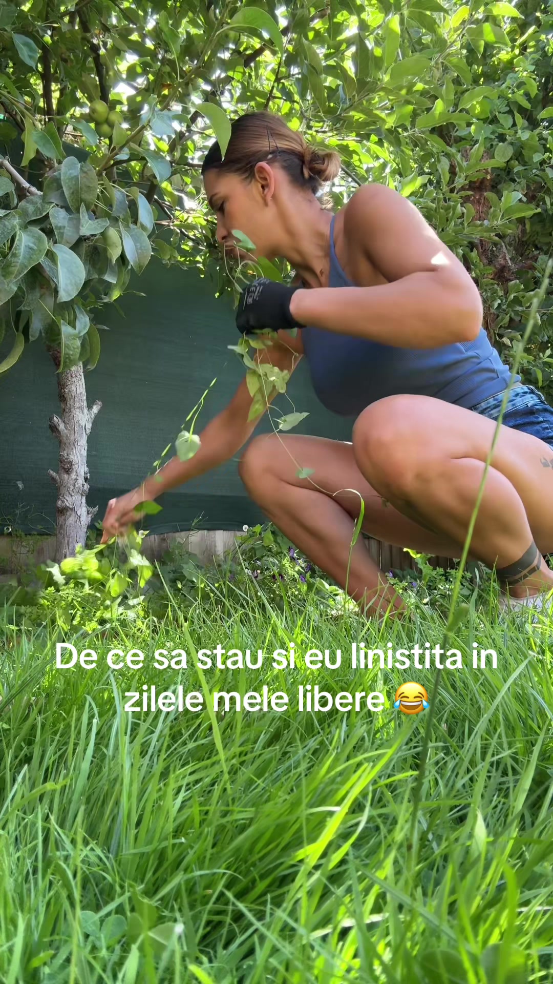 @Mihaela Marin