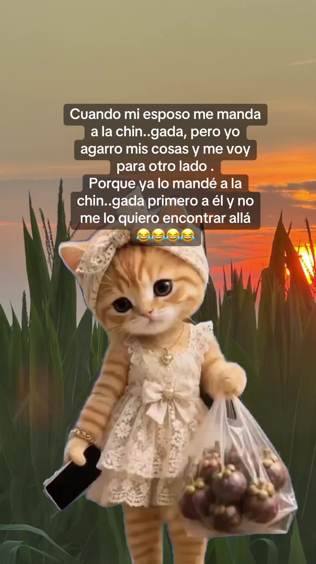 @reflexionesyfraseslocas
