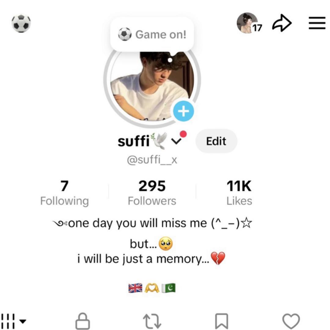 @suffi🕊️