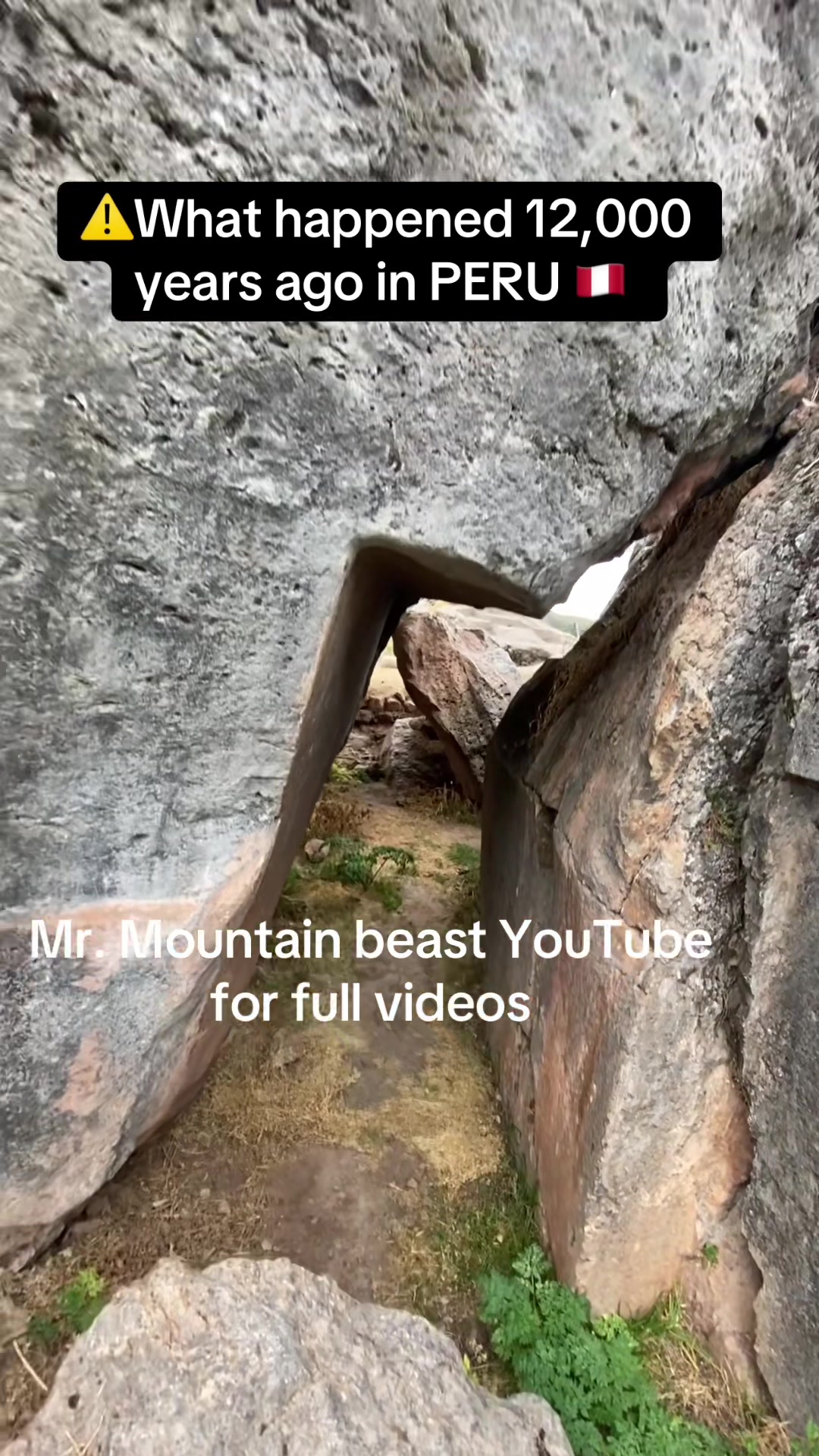 @Mr.mountainbeast