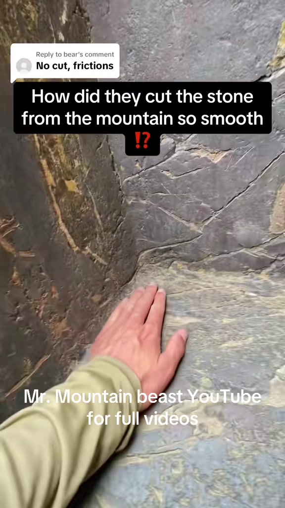 @Mr.mountainbeast