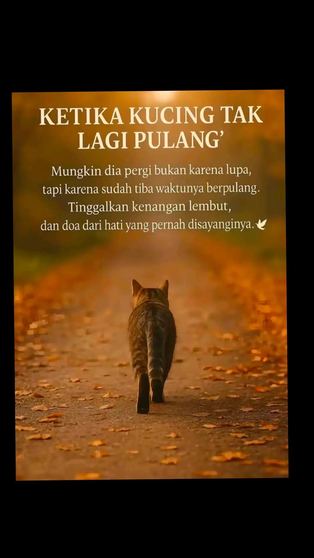 @NungZzazihh