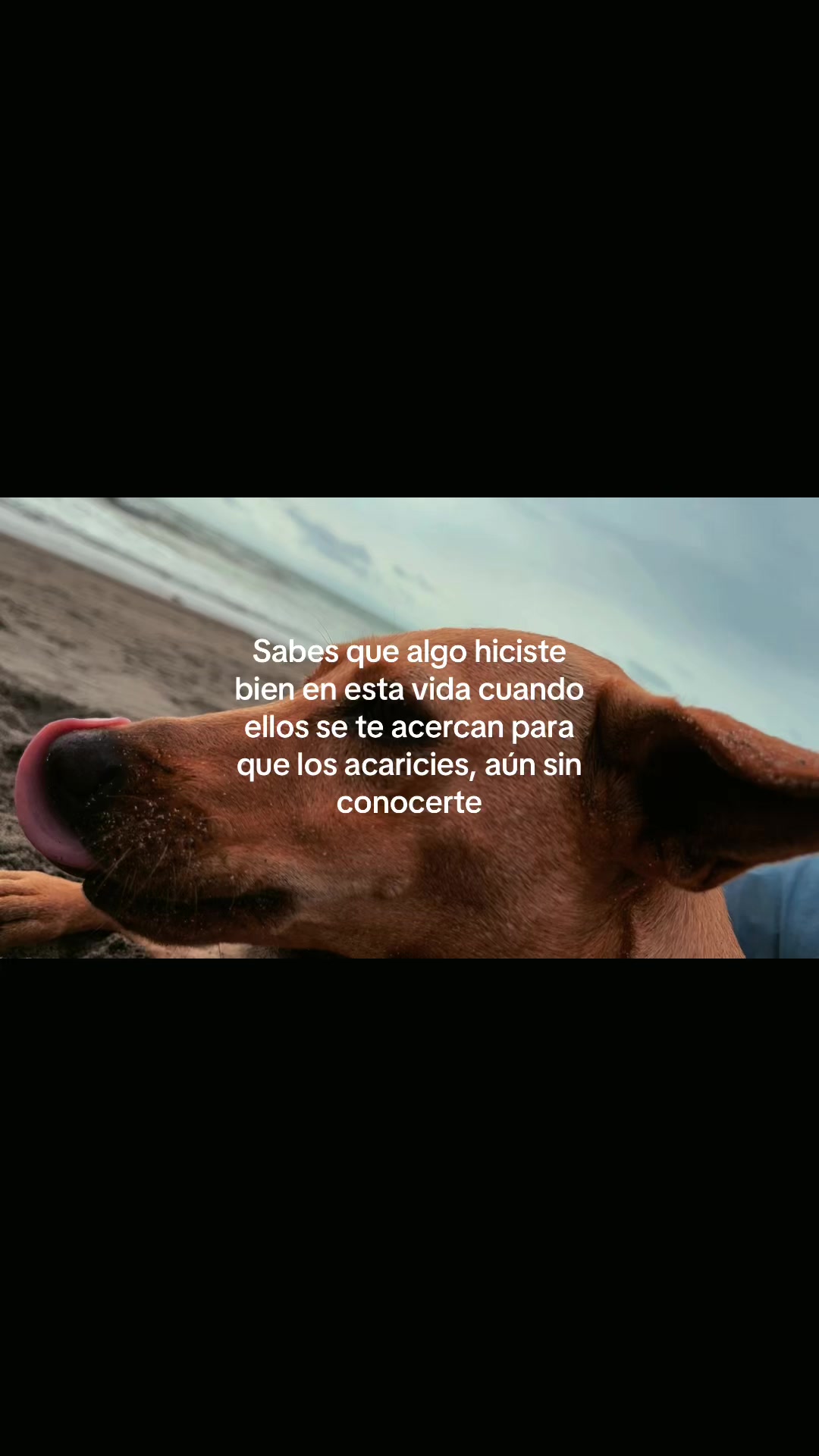 @Nicole
