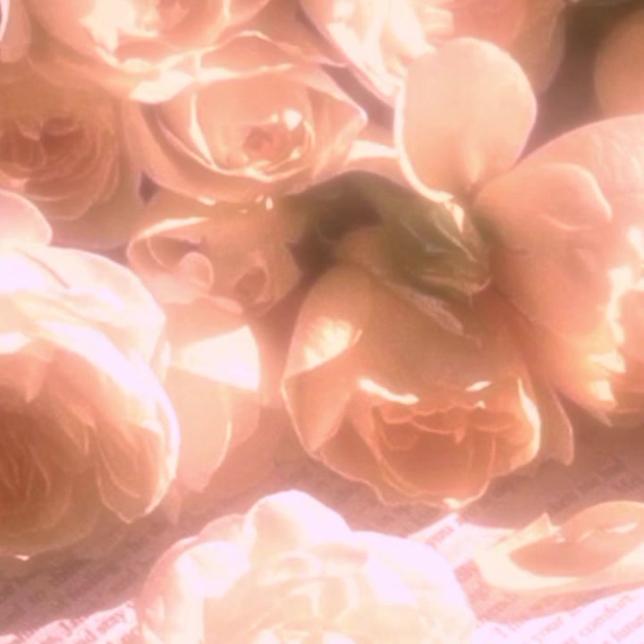 @☆flor amarela☆