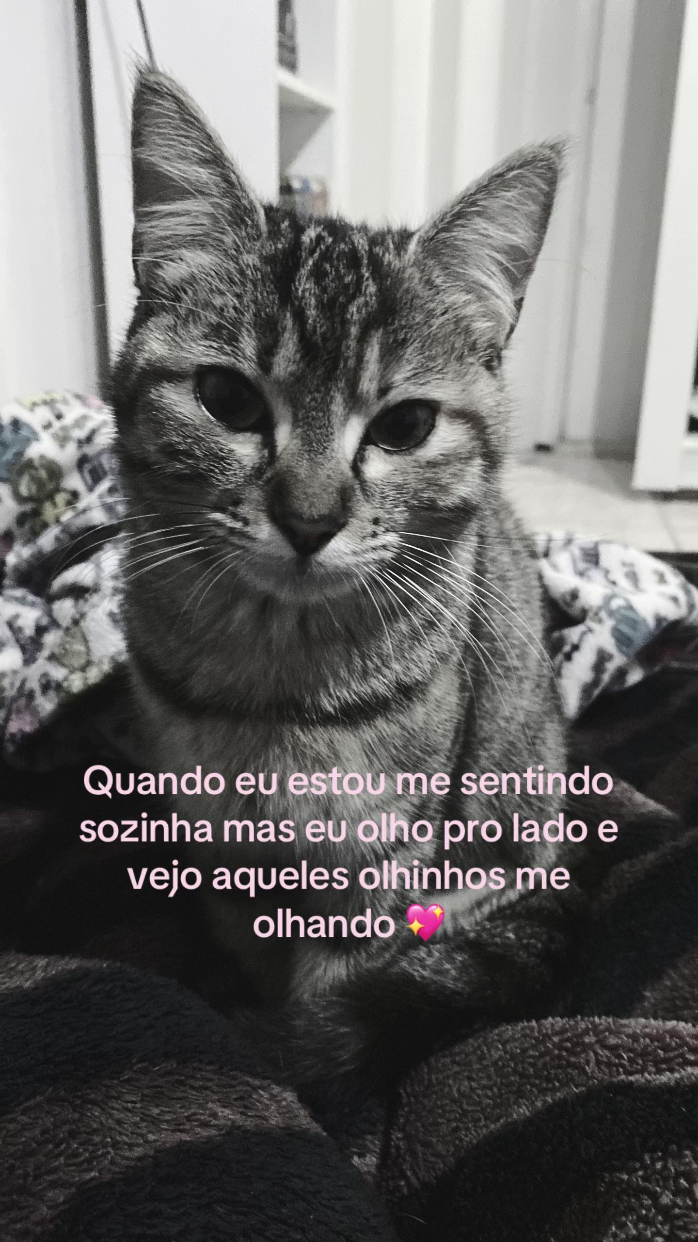 @duda gonsalves