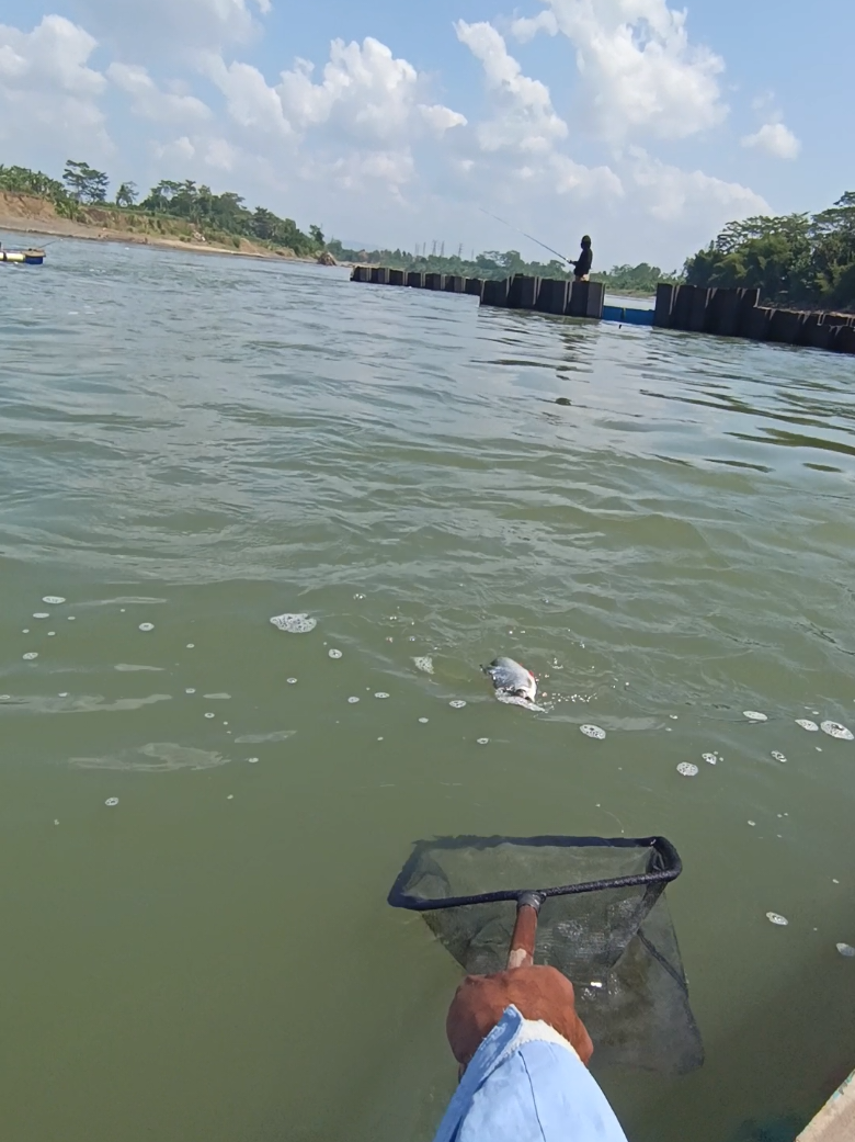 @Dewategek
