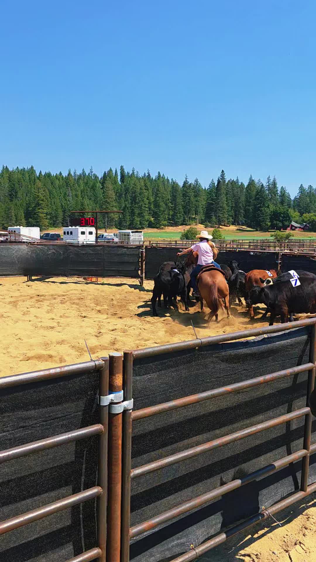 @🐴 ColdMountainRanch 🏇
