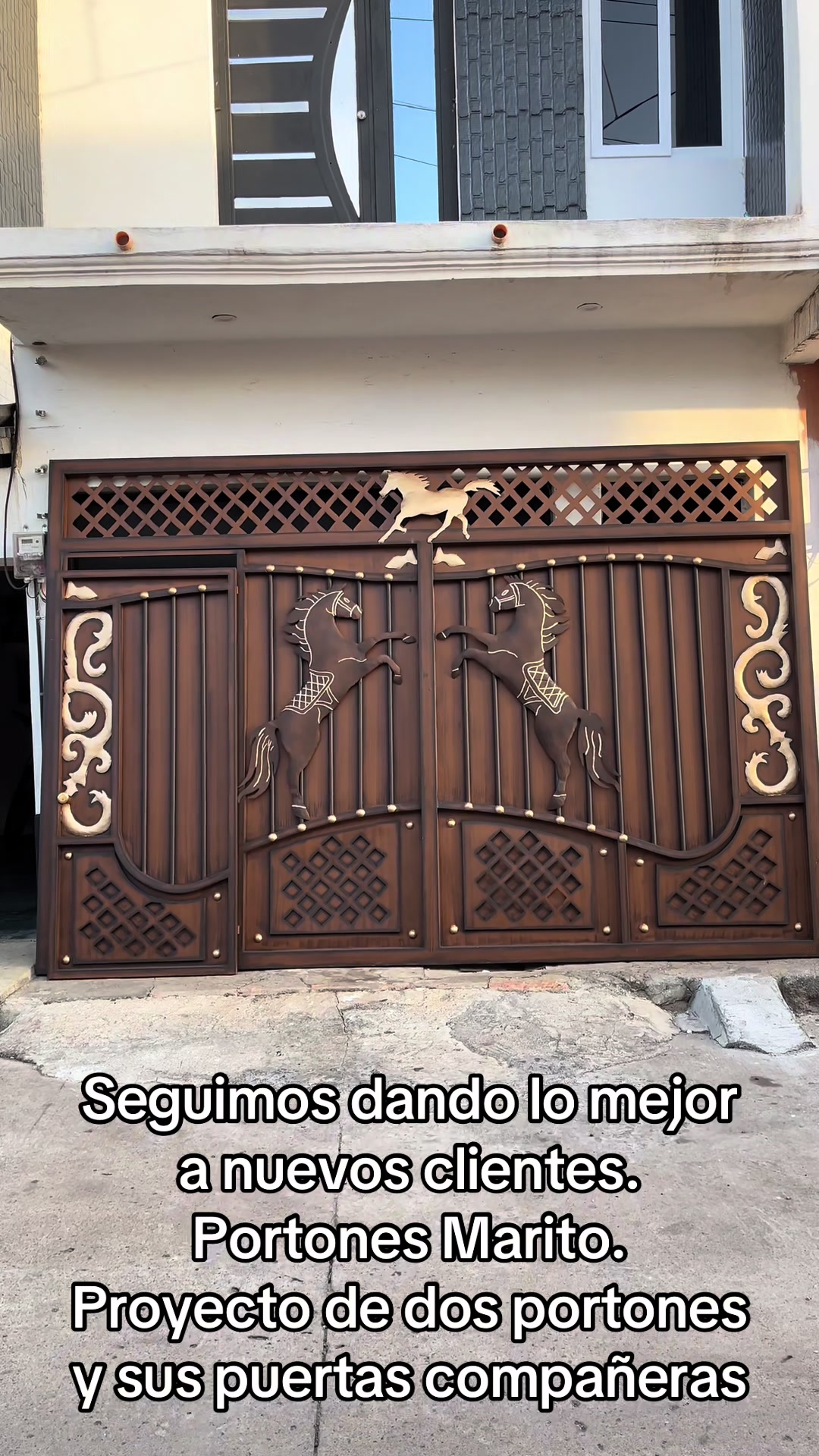 @Portones Marito ,, Garcia  pro