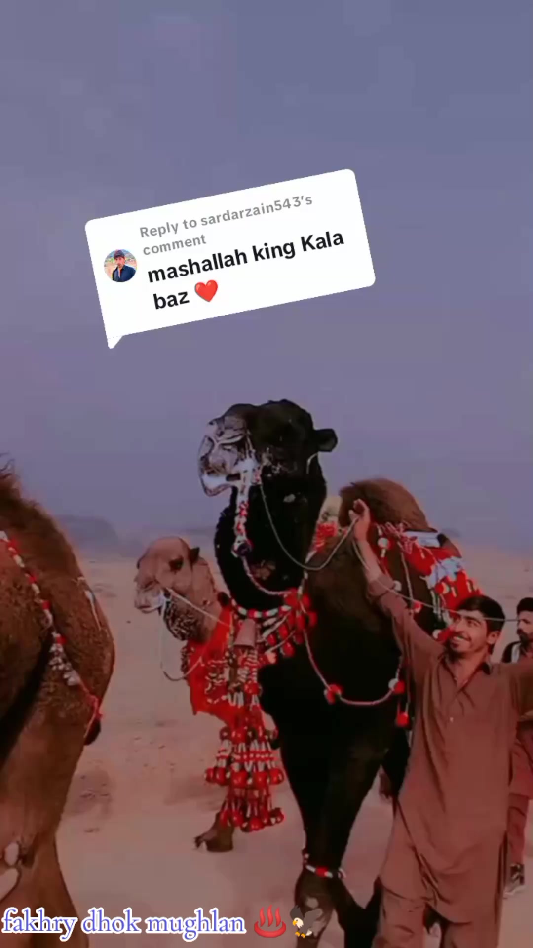 @🦅کالا باز🦅فخرے ڈھوک مغلاں♨️