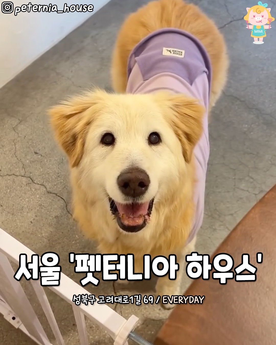 @서울핫플