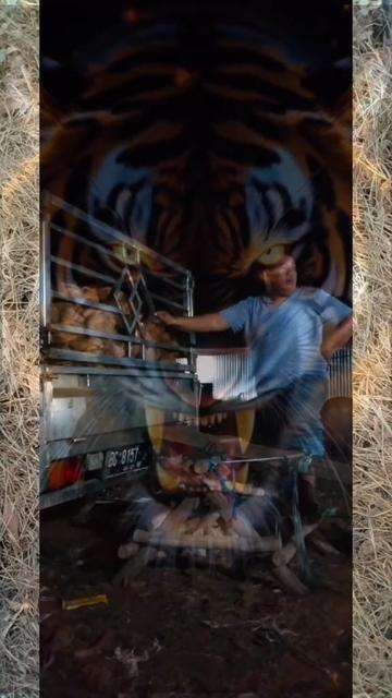 @Anes_King_cap_garpu