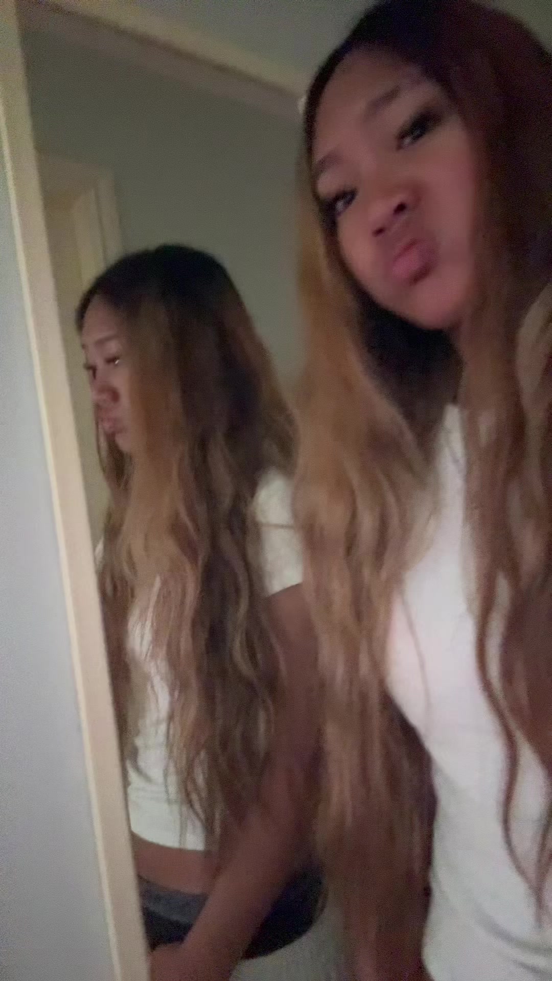 @🦈