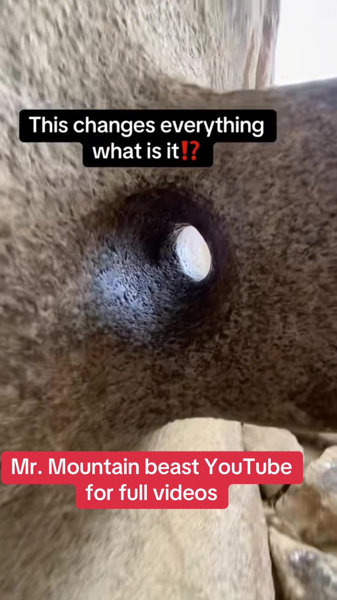 @Mr.mountainbeast