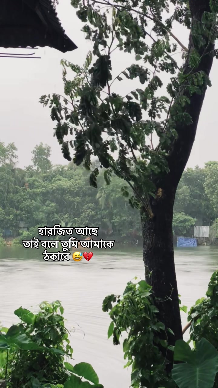 @_নিখোঁজ_