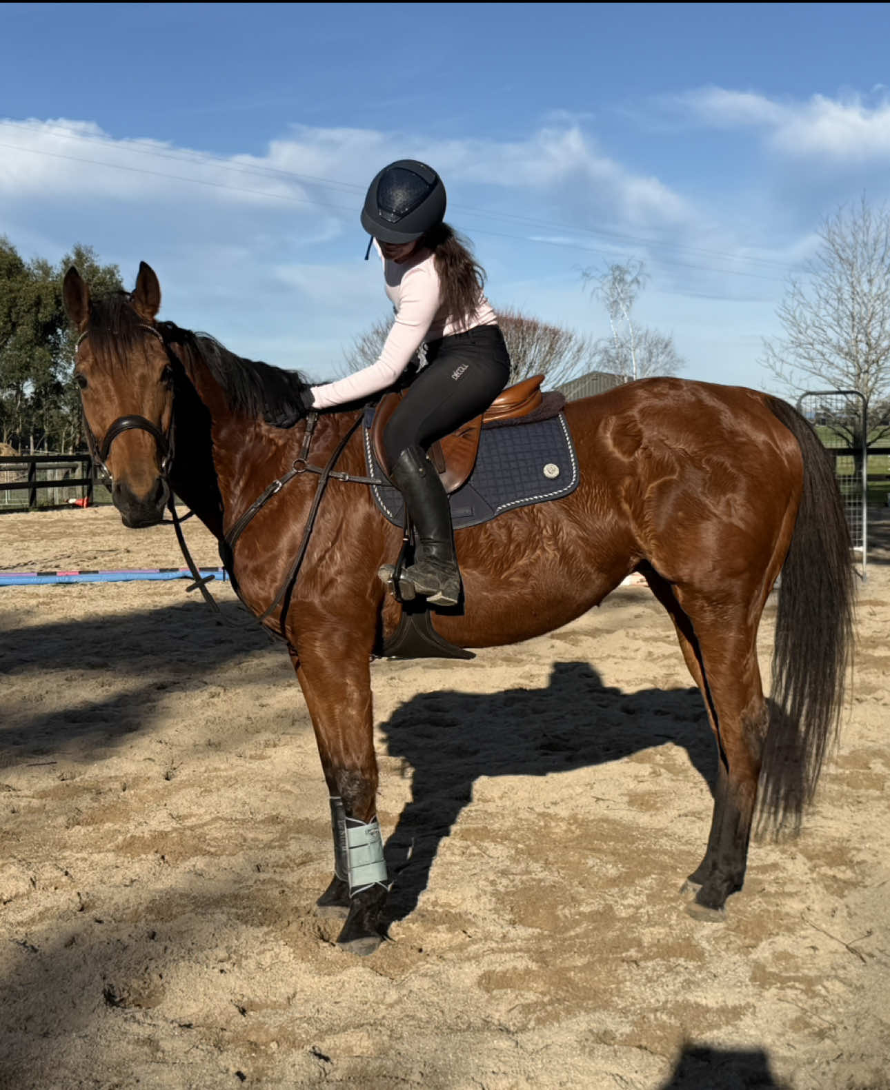 @Imi_.equestrian