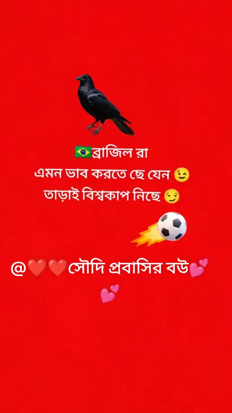 @🥰জামাইয়ের আদরের বউ❤️({ B+W})