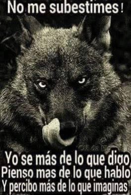 @Salvador Teodoro