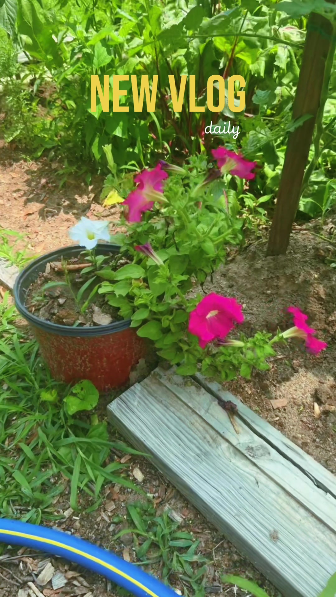 @regrownature