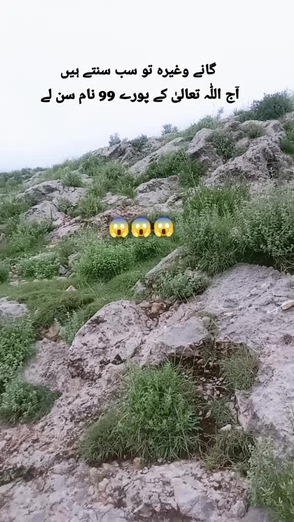 @Zahir_khan