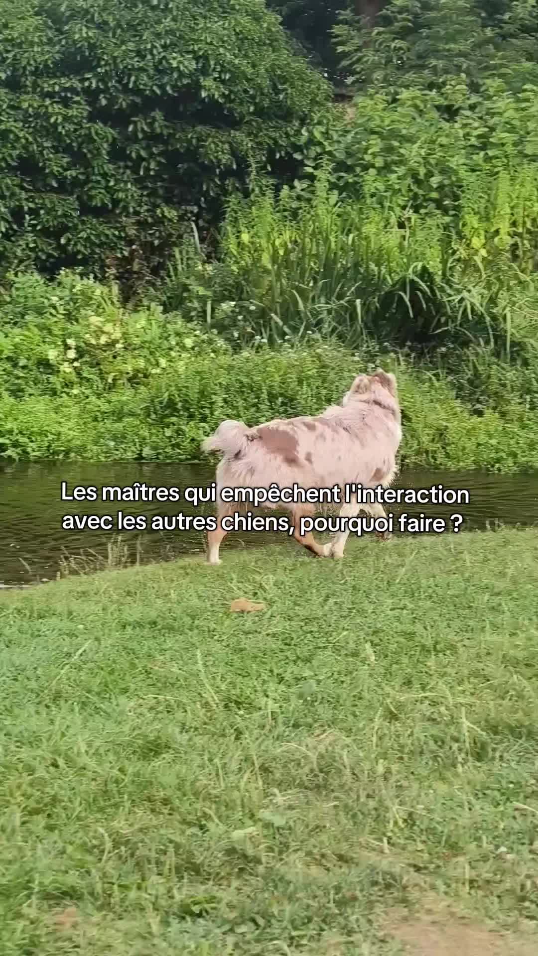 @Asta 🐻 Le petit frère 🤎