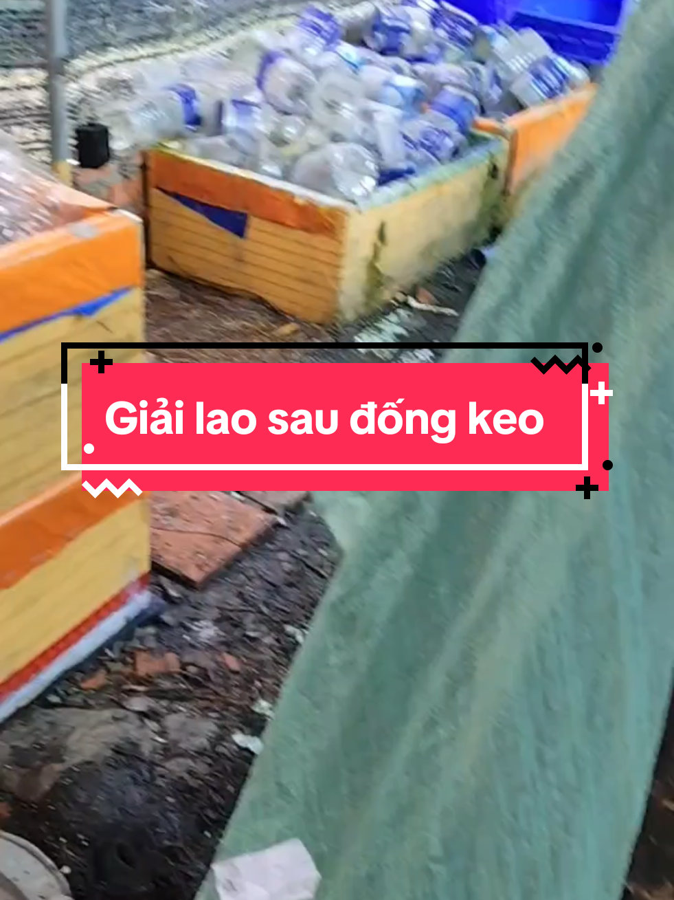 @Nhi Nguyễn Betta
