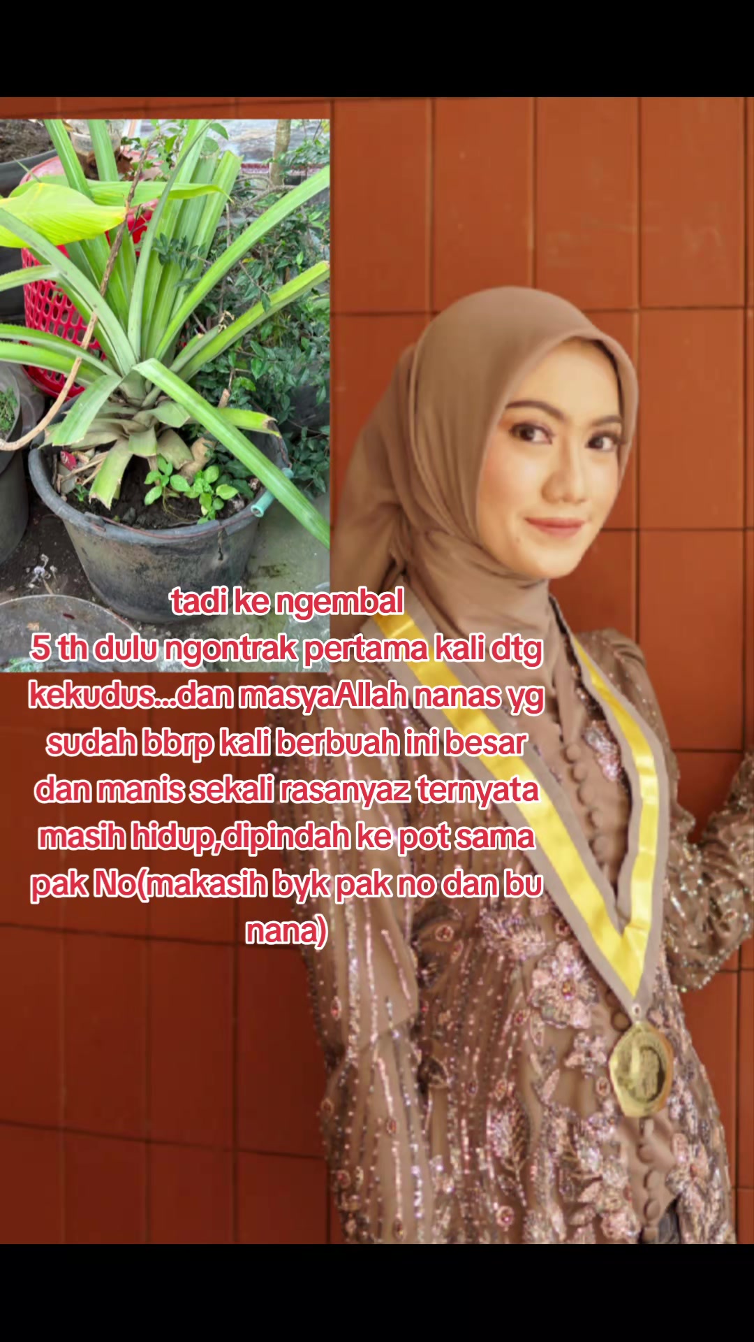 @@papyruswedding
