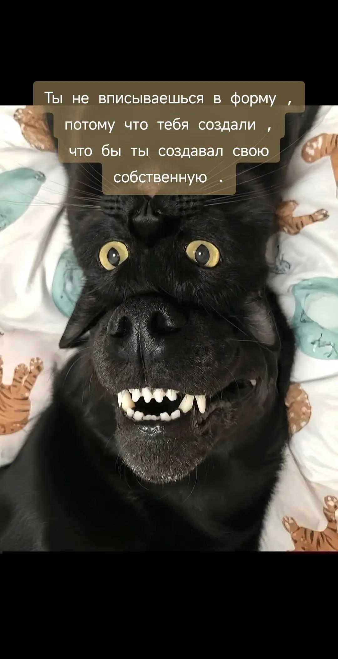 @МАГ🗝️ ХРАНИТЕЛЬ