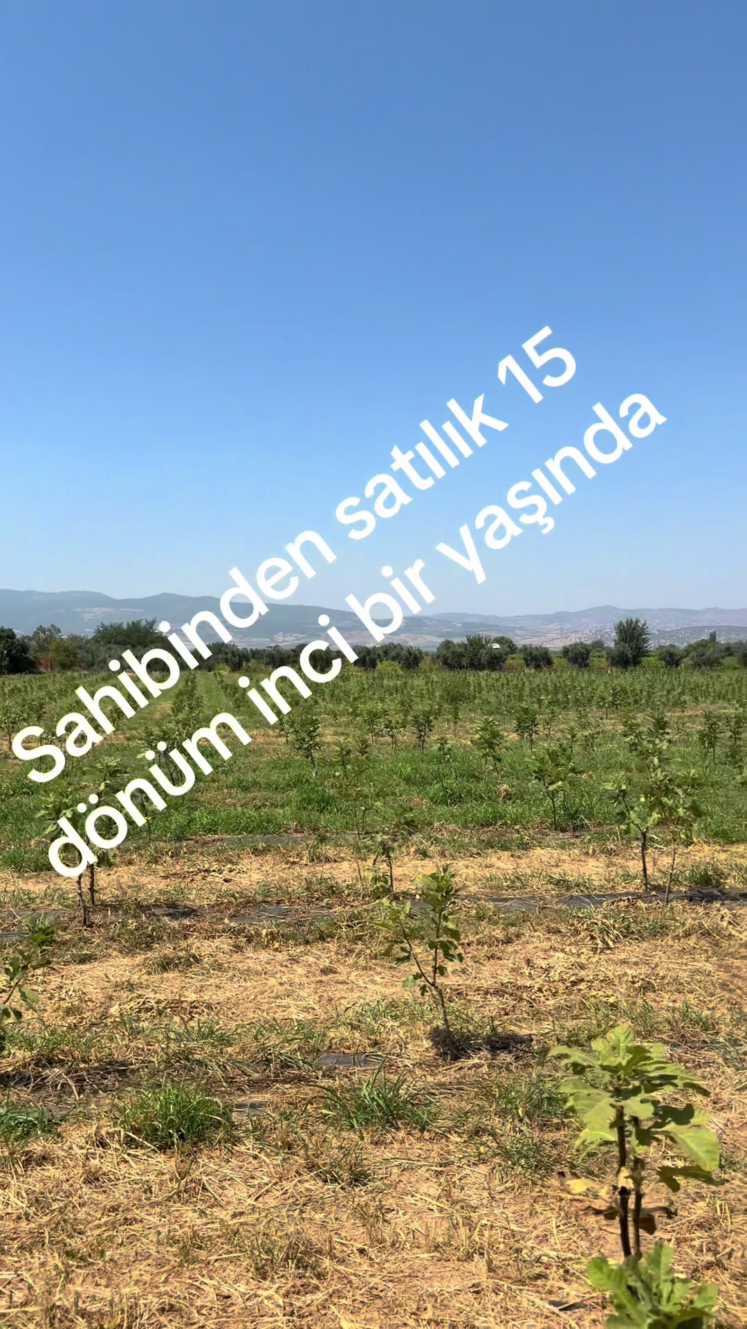 @☘️Tuncel 13_72☘️