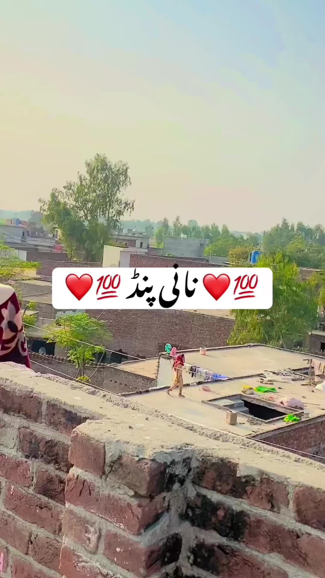 @maliksaim299