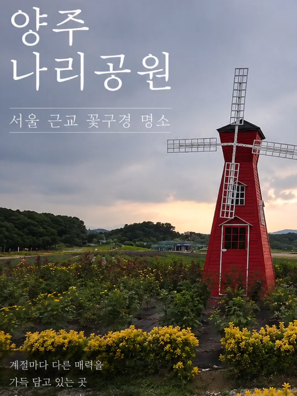 @춘천츄라이♡