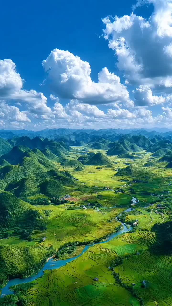 @Lionghoaho