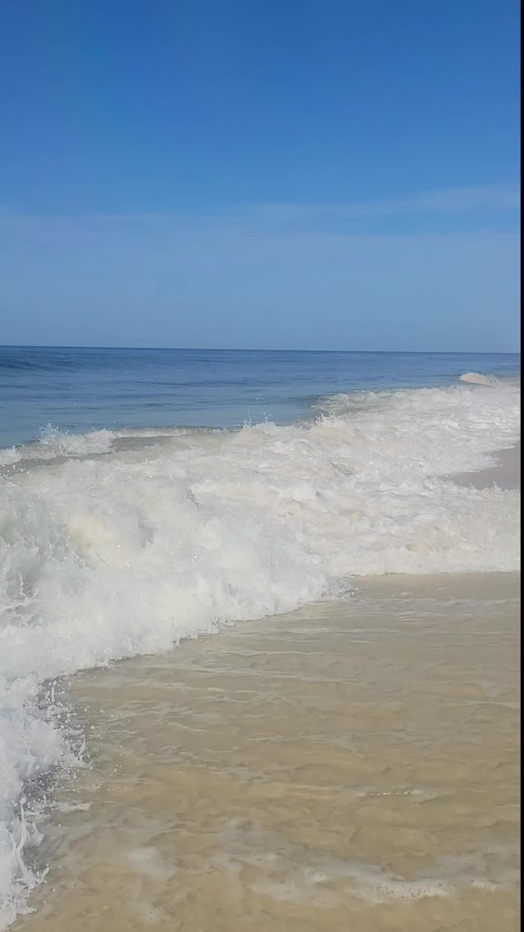 @TheBeachIsFree