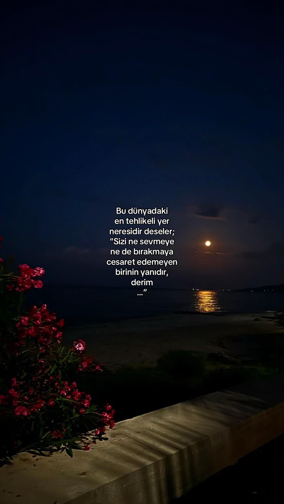 @𝓔𝓵𝓲𝓯