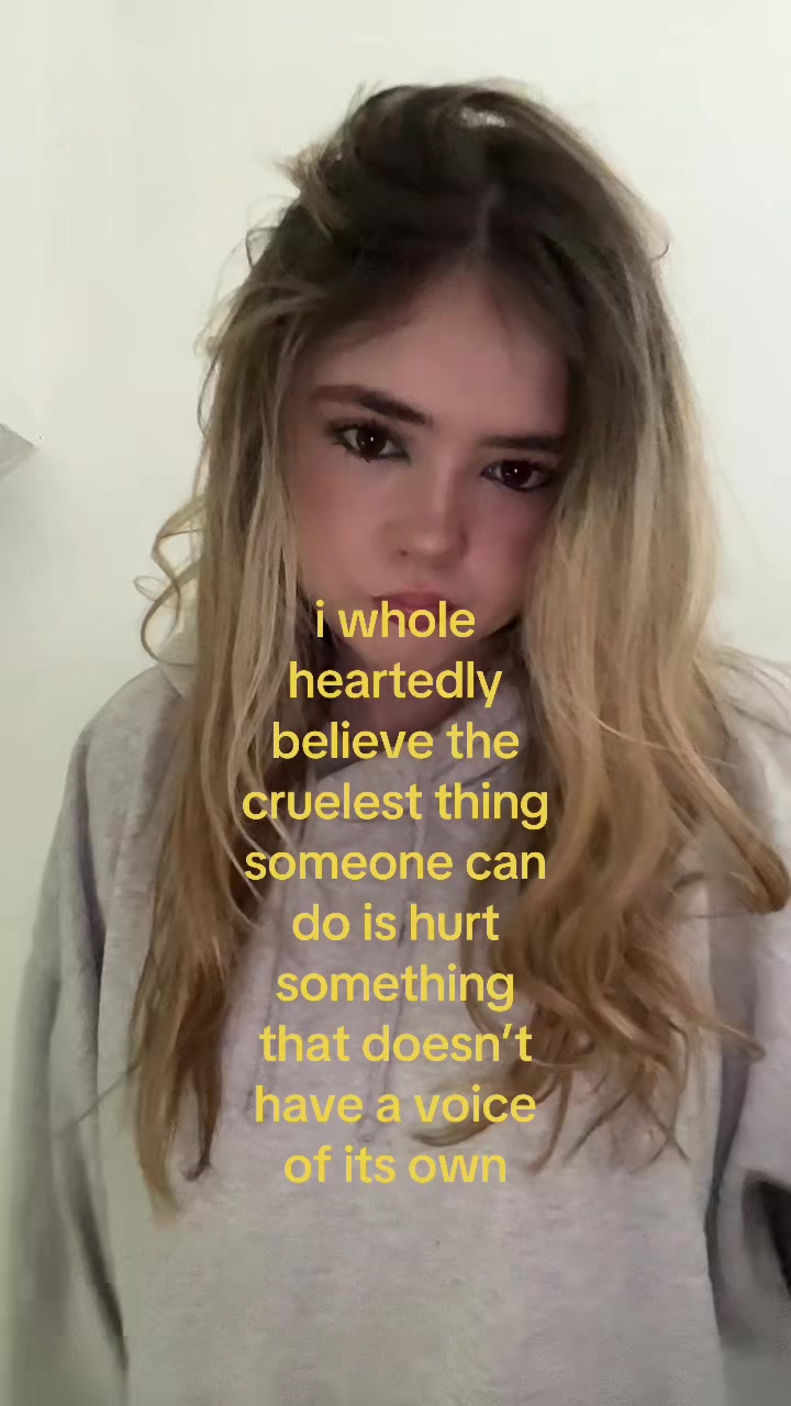 @evi