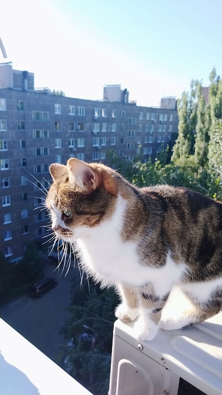 @&hearts;️МАЛЕНЬКАЯ &hearts;️