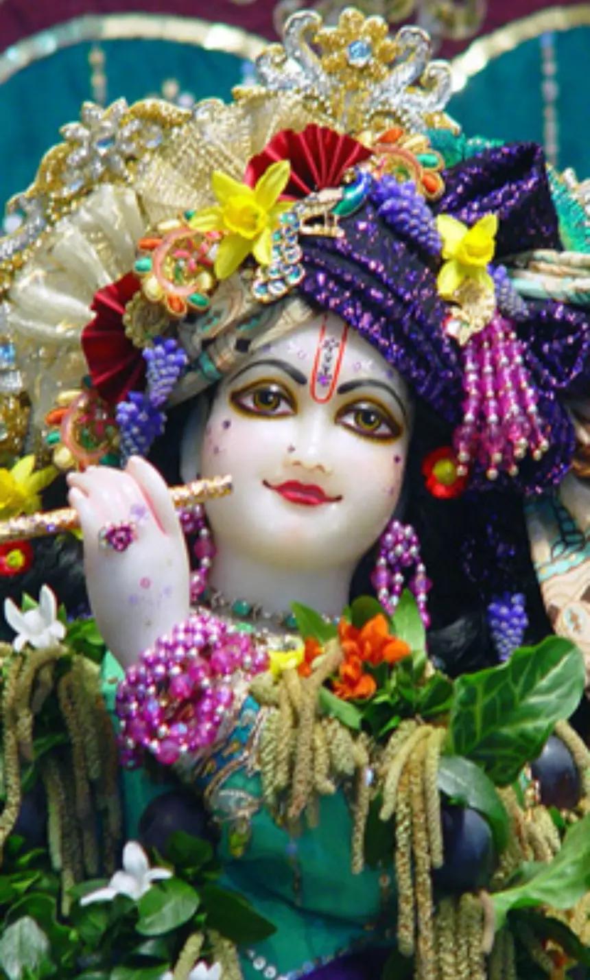 @Radhe Radhe 💐