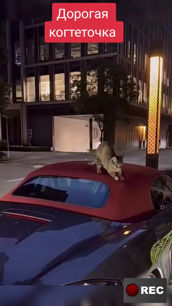 @Лариса