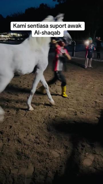 @Subdepo Arabian Park