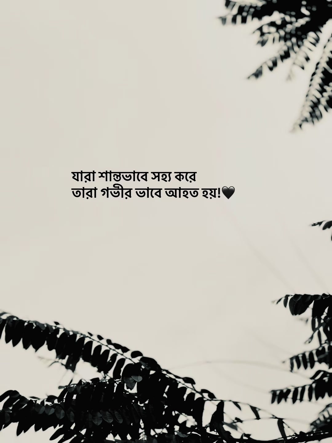 @आईएएन ┊🐥