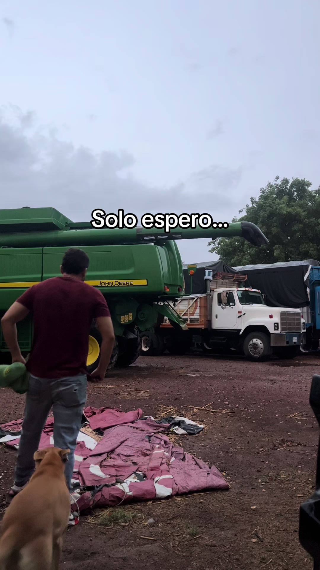 @Elpedrito19