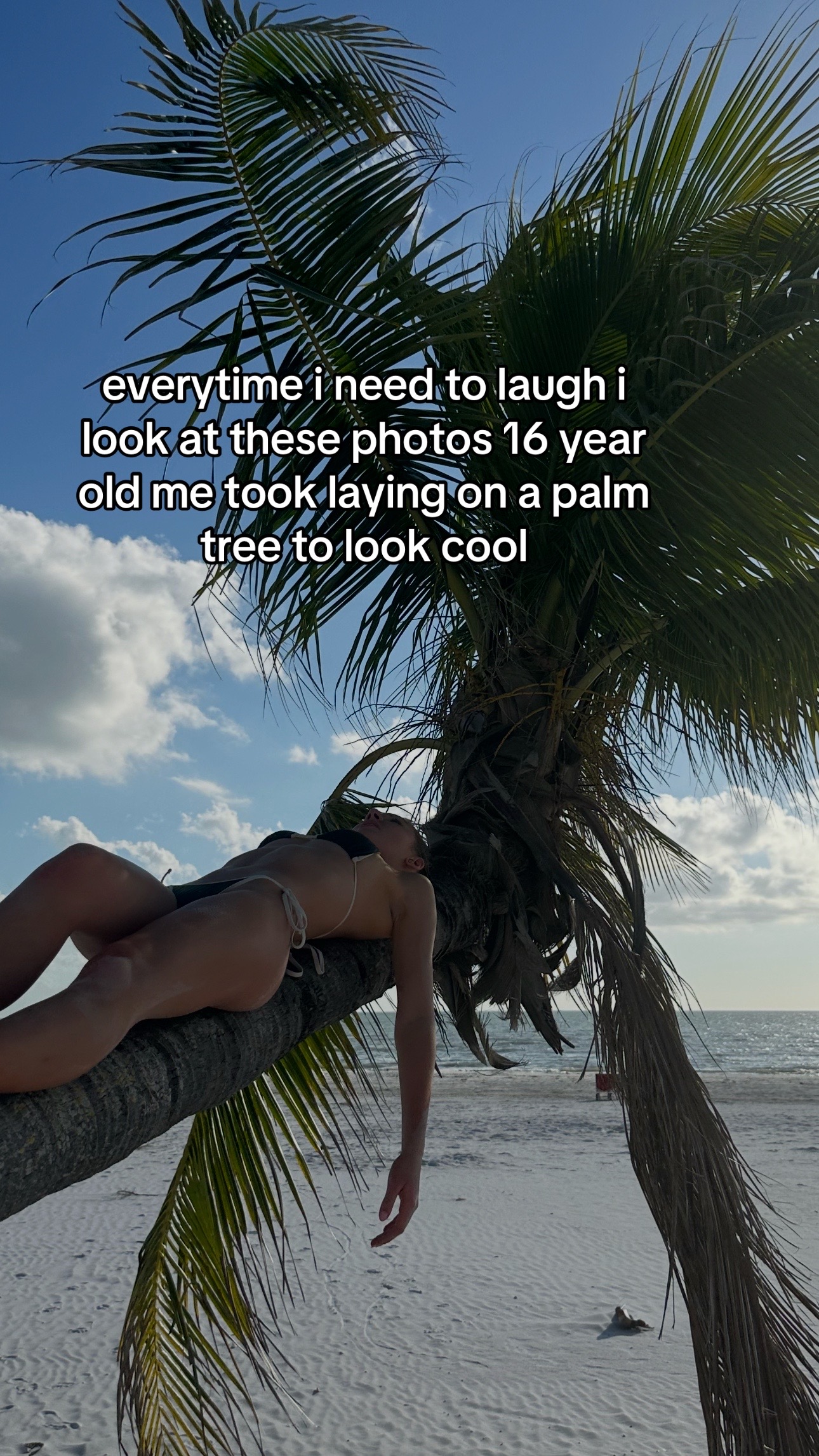 @cecilia🪽