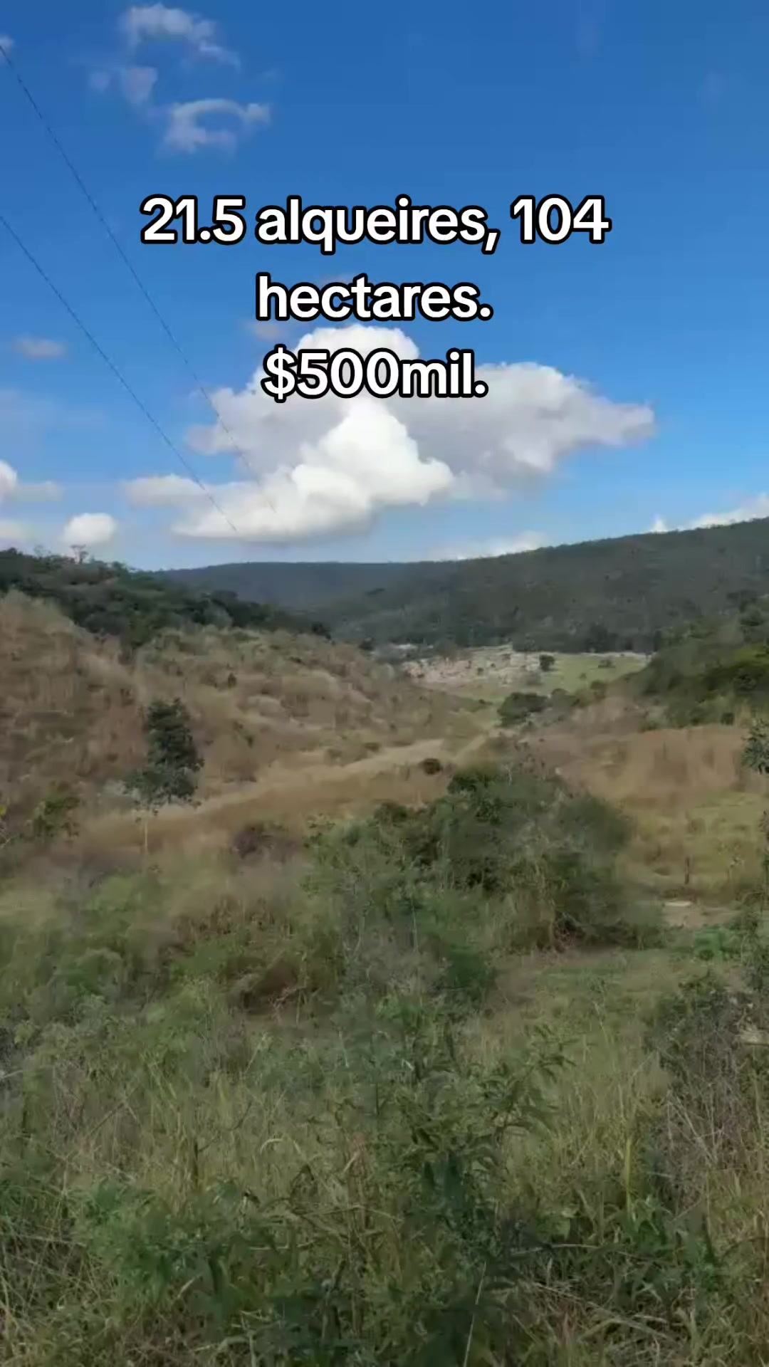 @O REI DAS FAZENDAS.