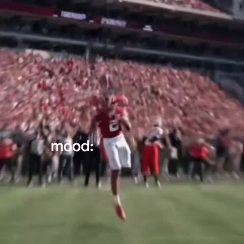 @dxvidz