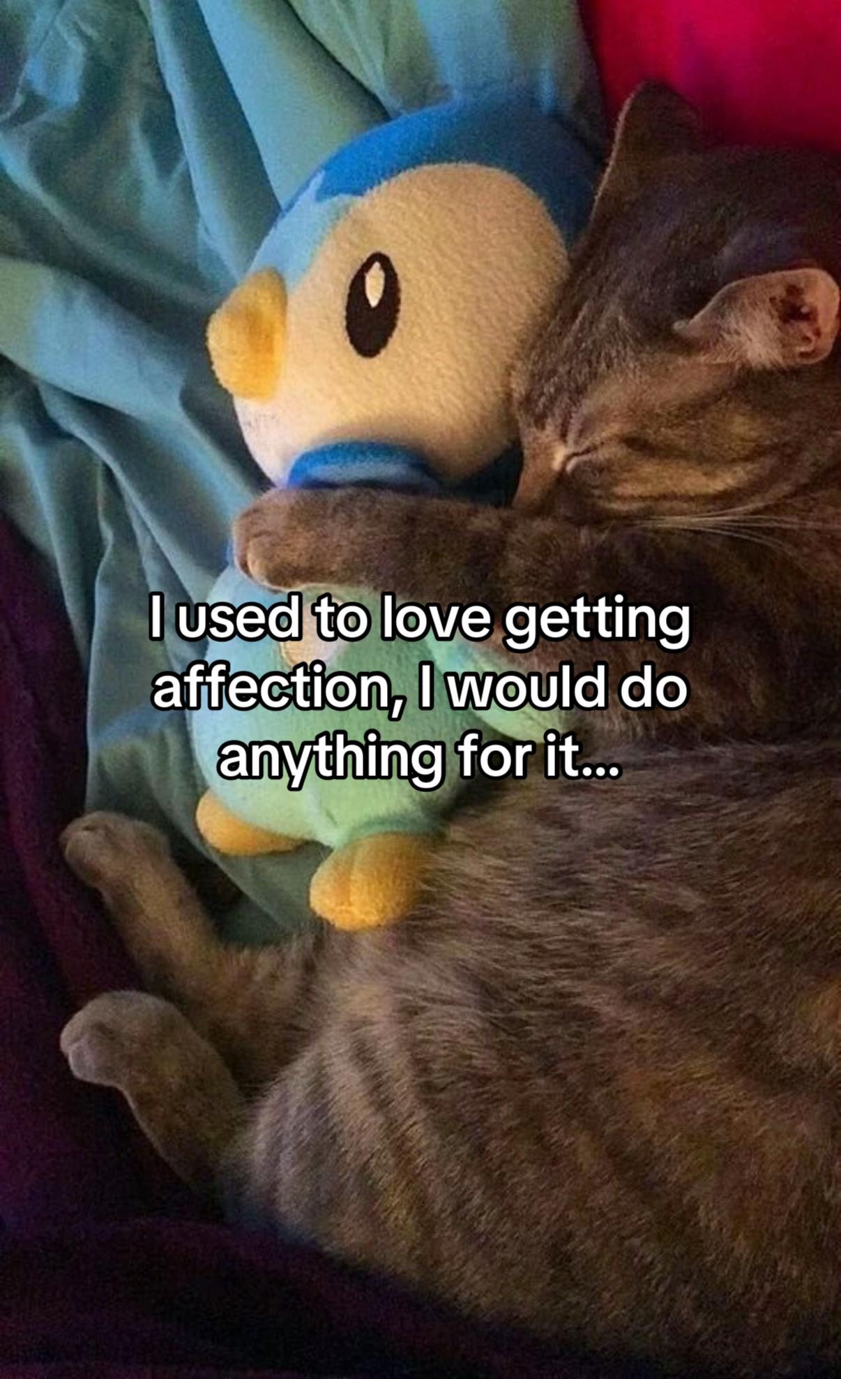 @JӨ&Sigma;🩵