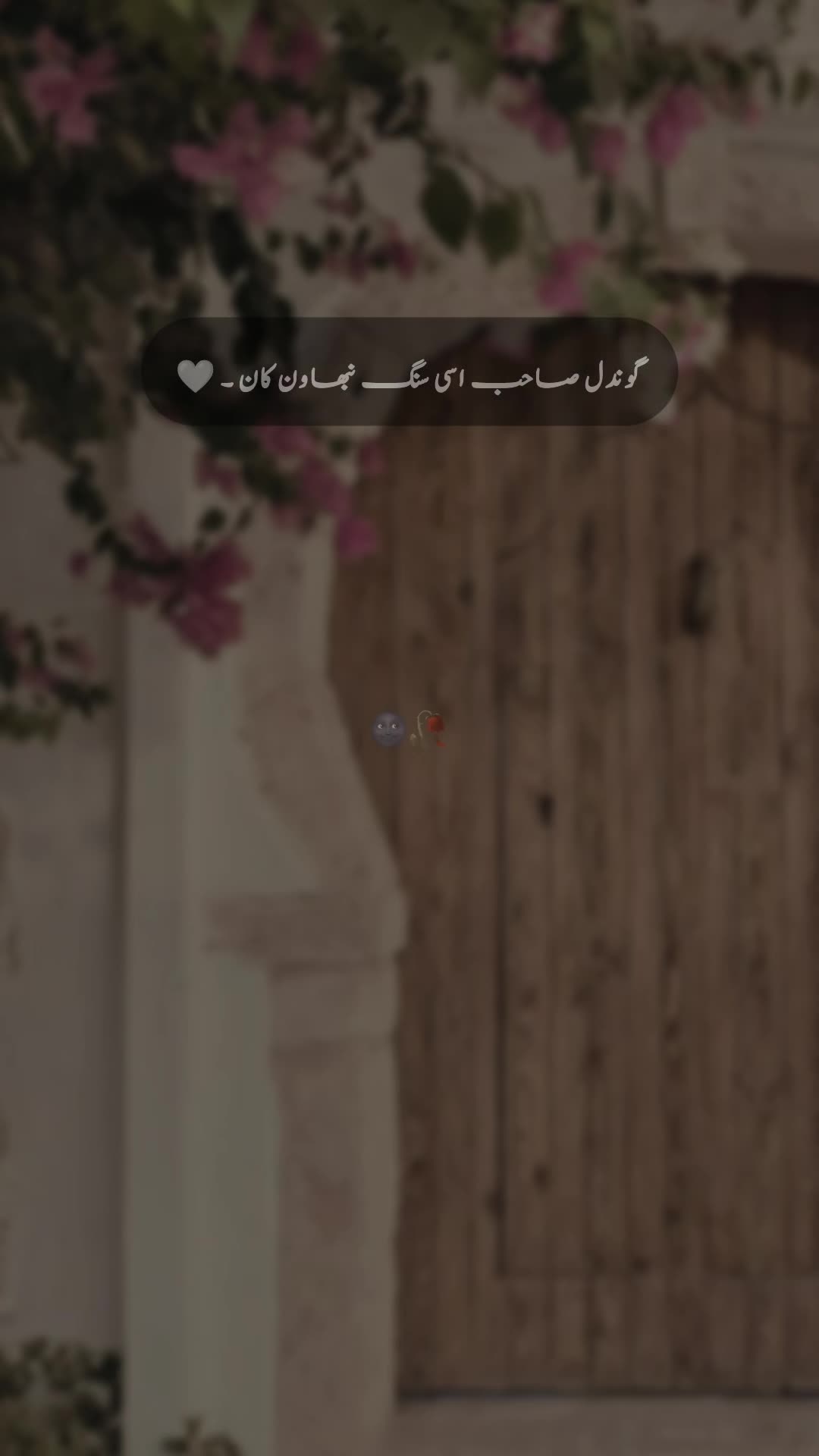 @๐ ๐ ๐ ๐ข ๐๐ซ