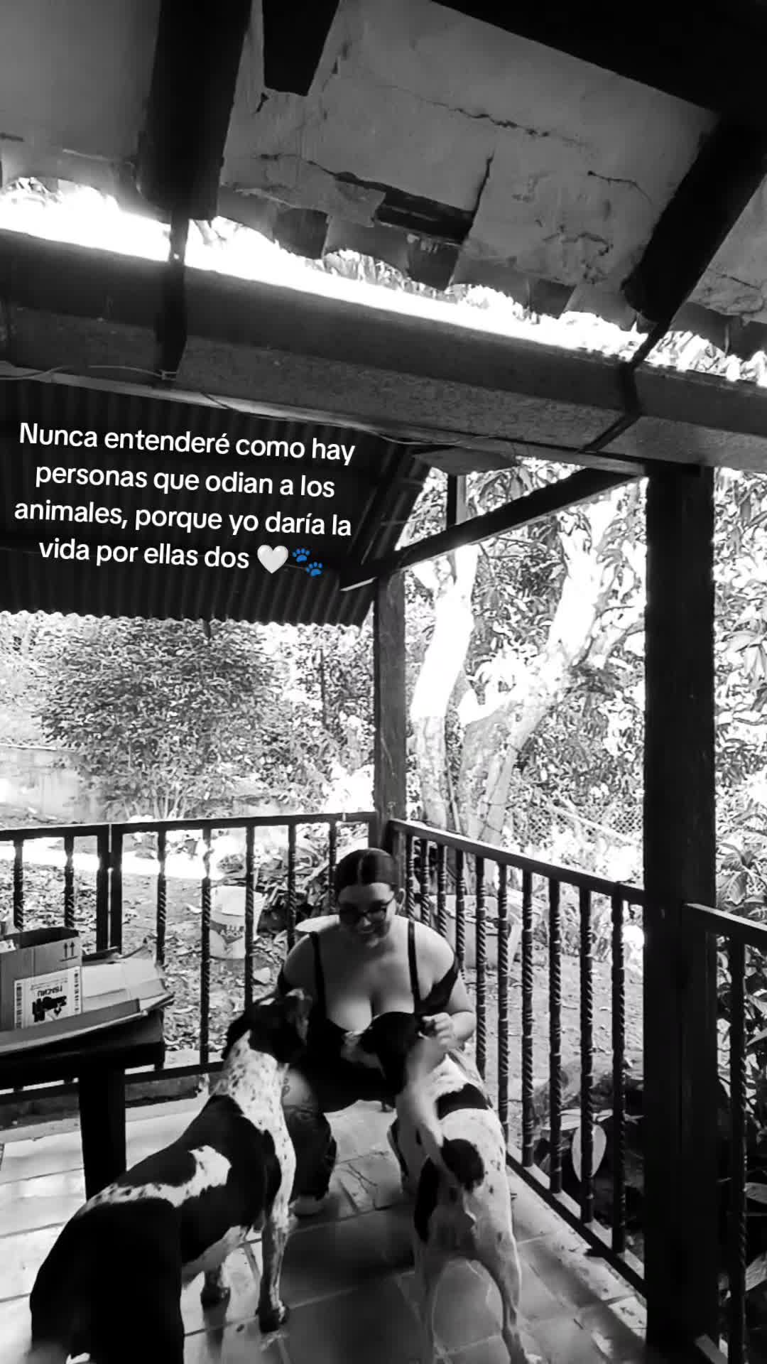 @Lau B'c 🌷