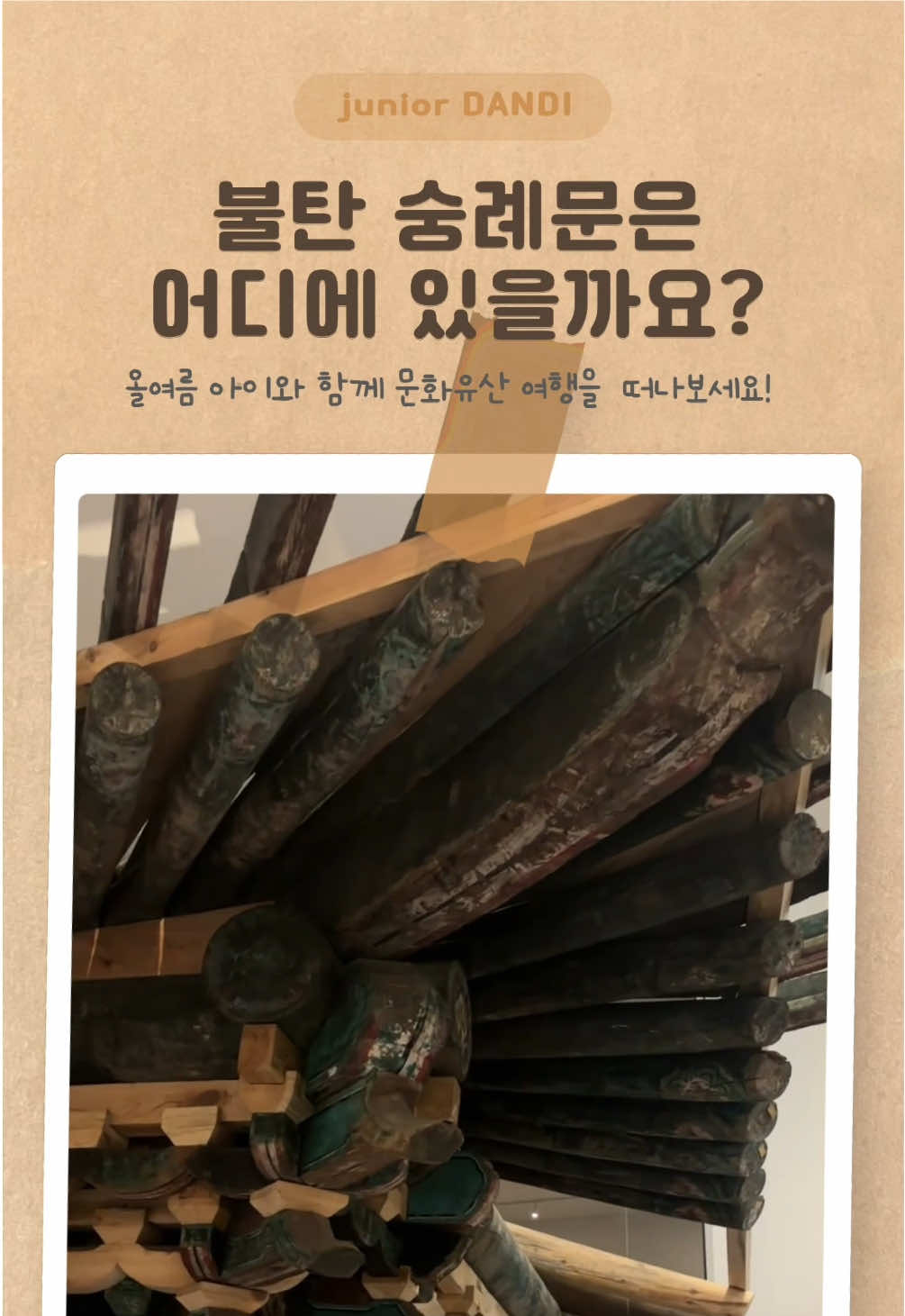 @도서출판 단디 주니어 단디