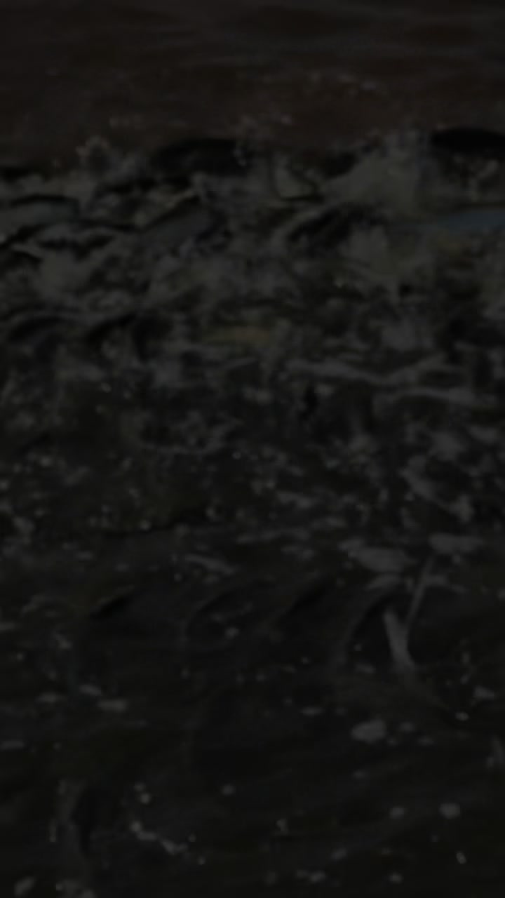 @Prakash