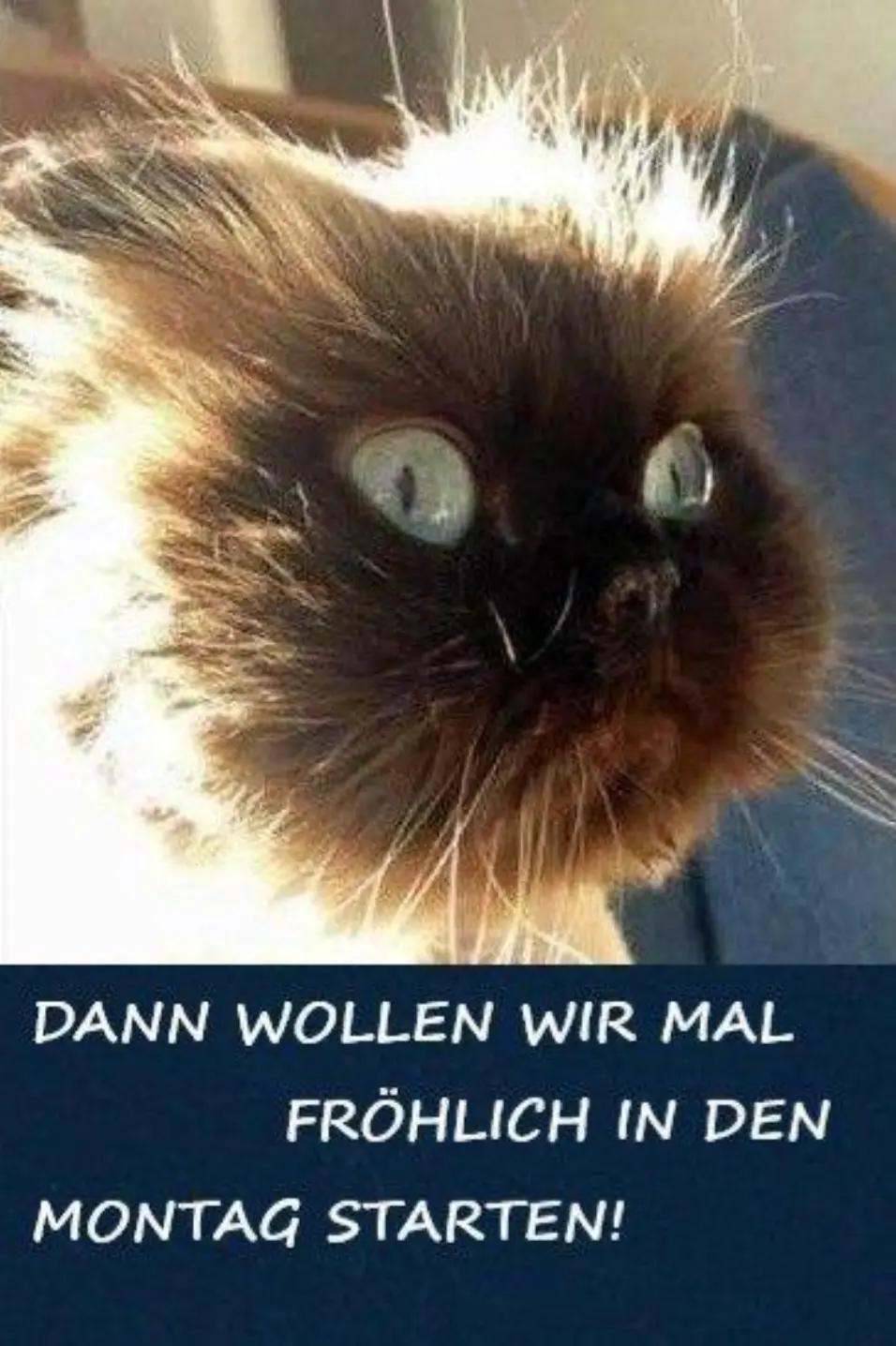 @Bernd ku