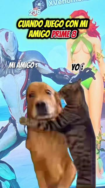 @nachayxpr